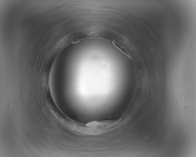 X0000083000044200702011506