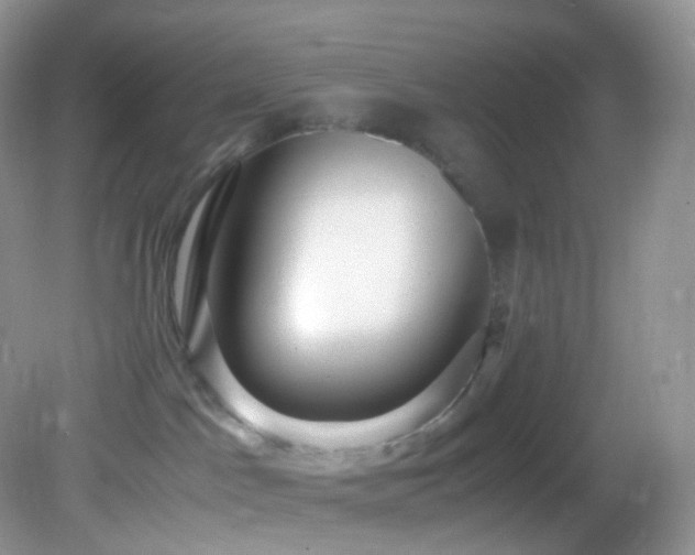 X0000083000045200702011506