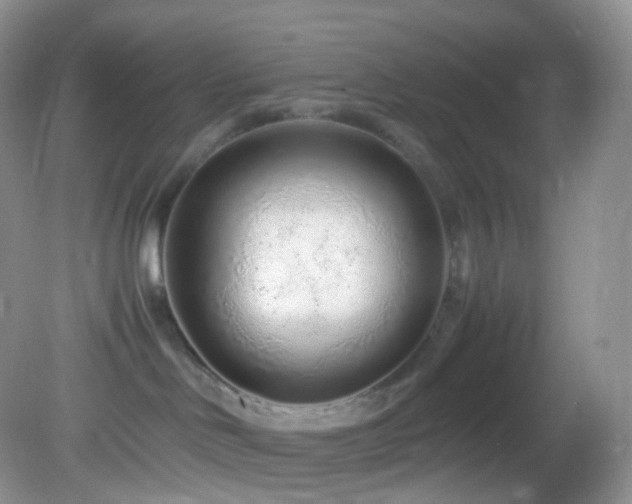 X0000083000046200702011506