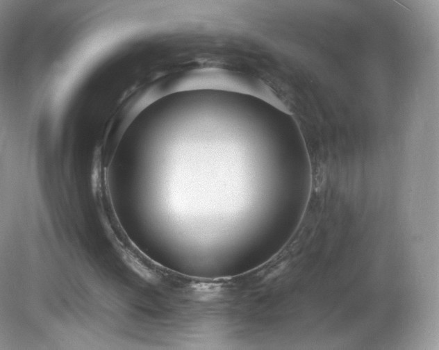 X0000083000052200702011505