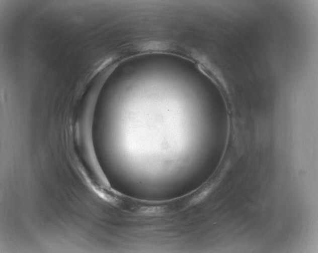 X0000083000057200702011505