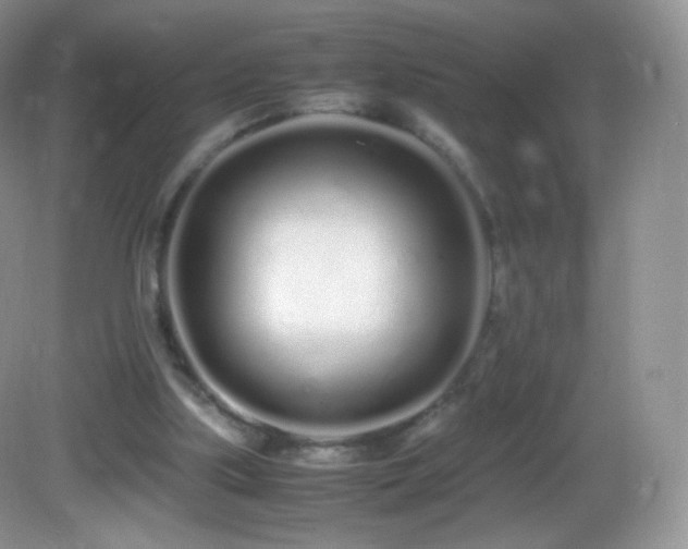 X0000083000059200702011505