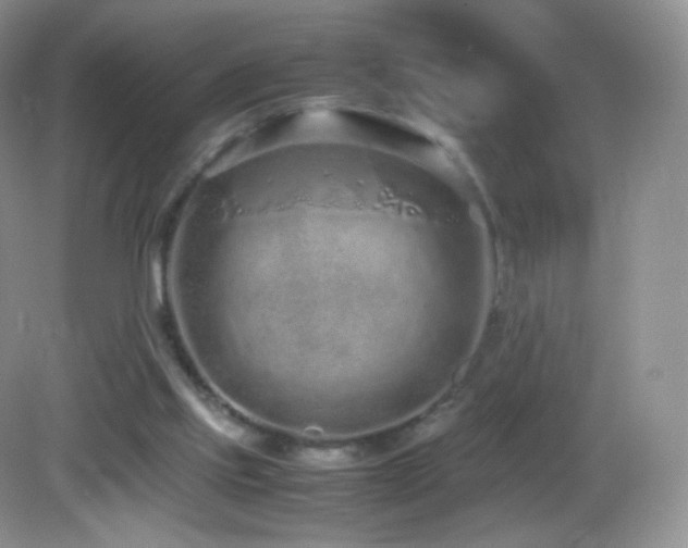 X0000083000061200702011505