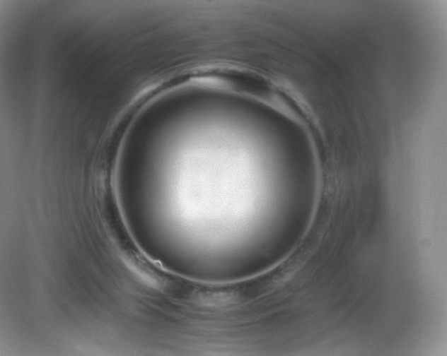 X0000083000063200702011505