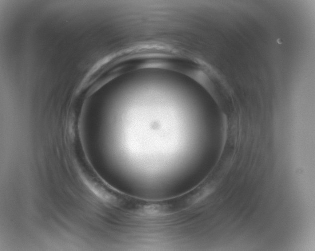 X0000083000064200702011505