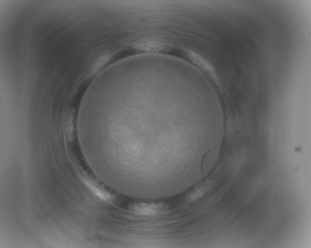 X0000083000065200702011505