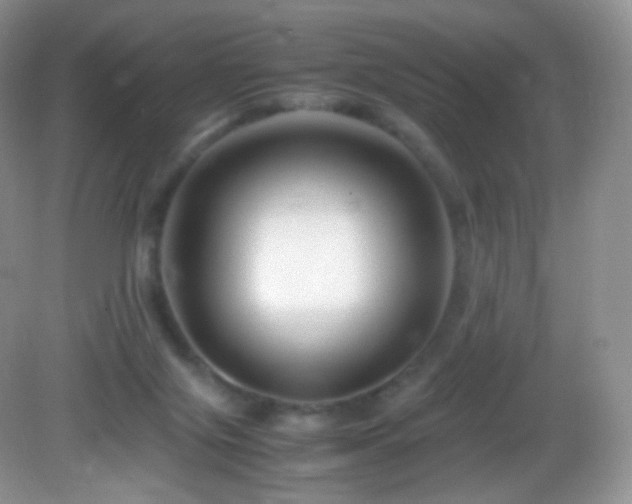 X0000083000071200702011506