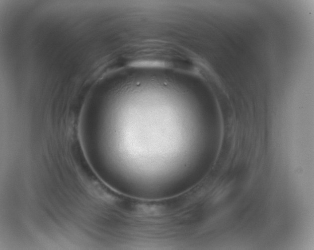 X0000083000073200702011506