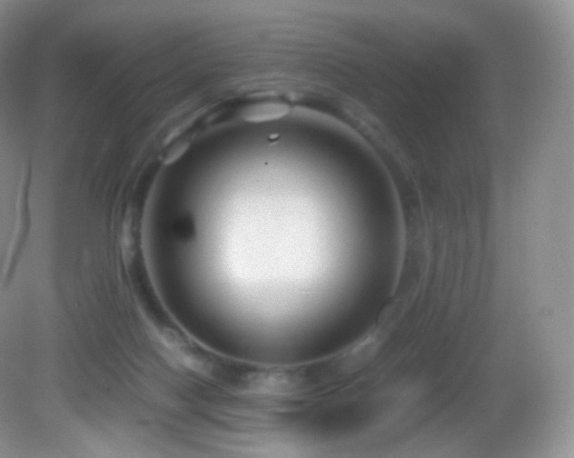 X0000083000074200702011506