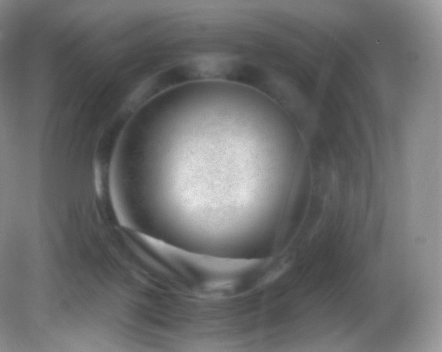 X0000083000075200702011506