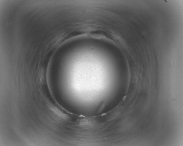 X0000083000077200702011506