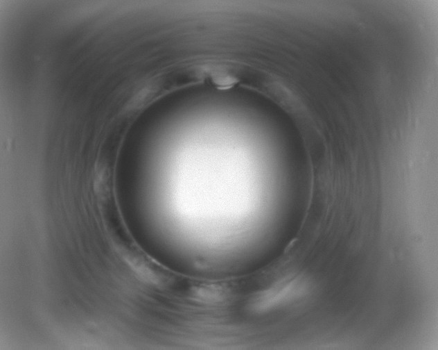 X0000083000079200702011506