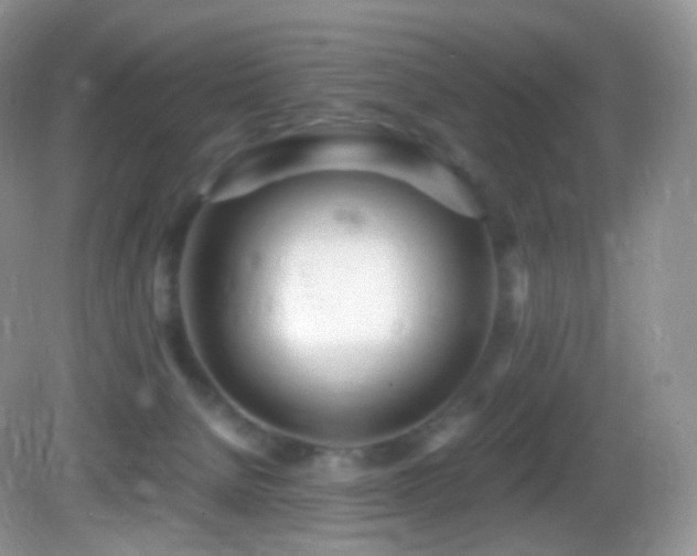 X0000083000080200702011506