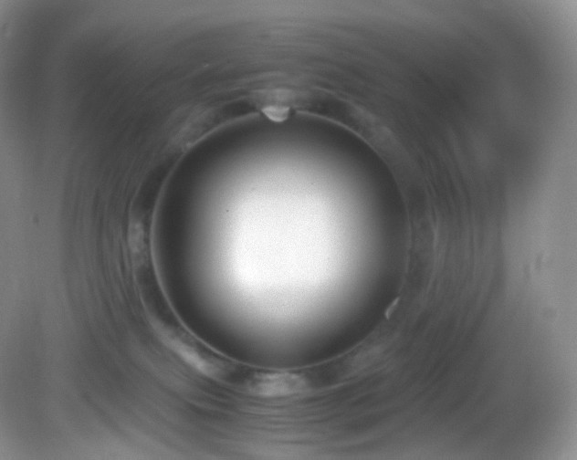 X0000083000087200702011506