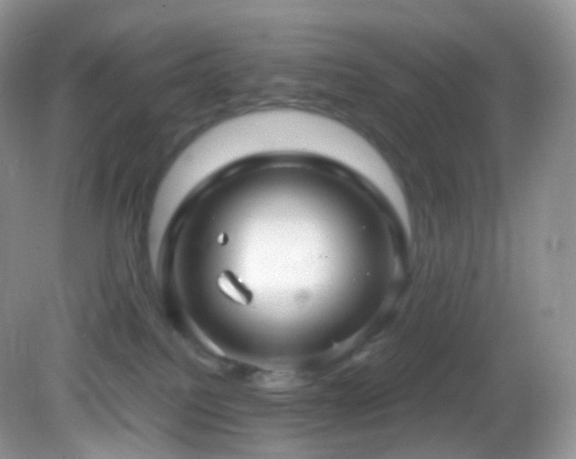 X0000083000088200702011506
