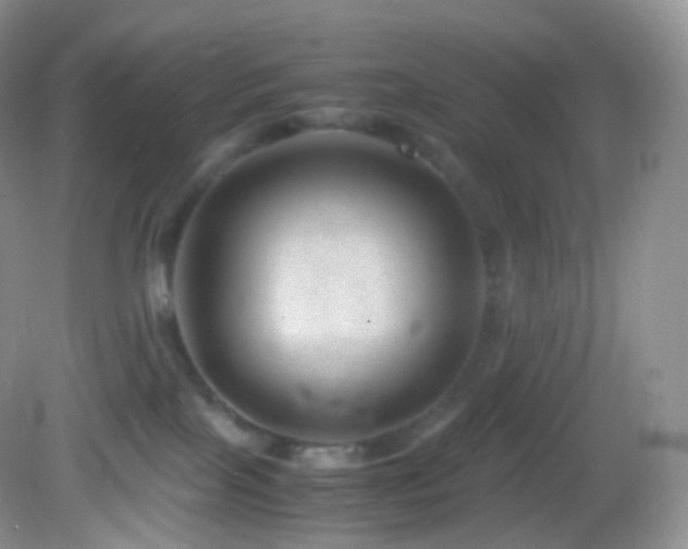 X0000083000089200702011506