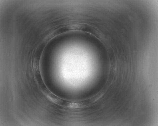 X0000083000091200702011506
