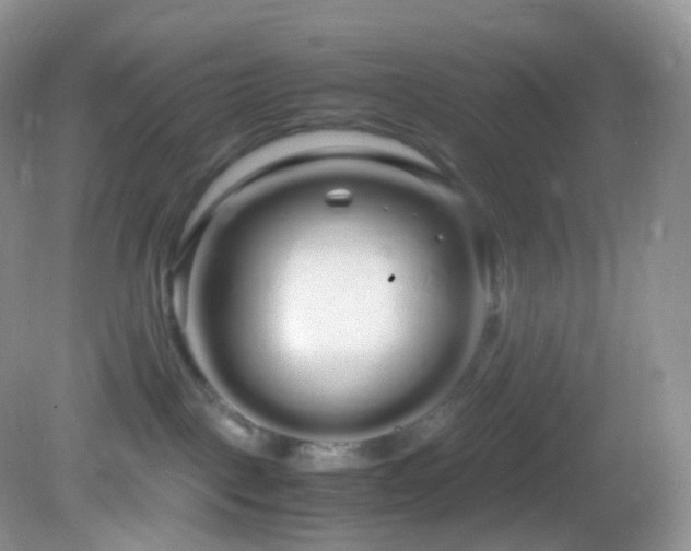 X0000083000093200702011506