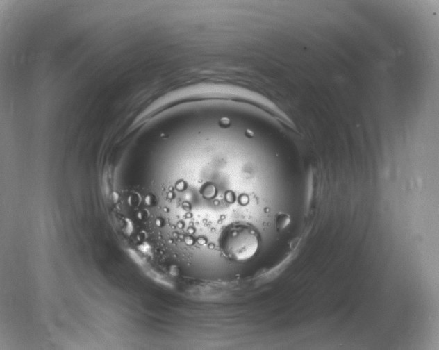 X0000083000094200702011506