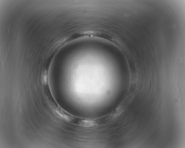 X0000083000095200702011506