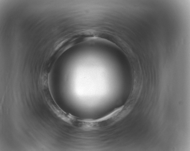 X0000083000096200702011506