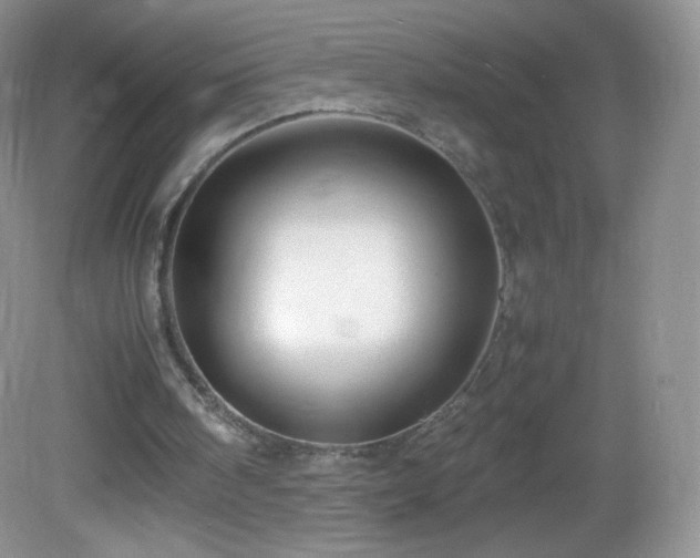 X0000083000098200702011505