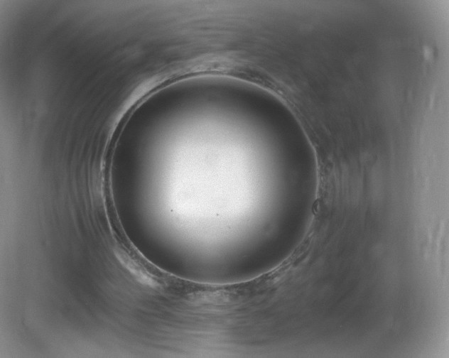 X0000083000100200702011505