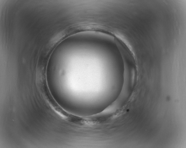 X0000083000105200702011505