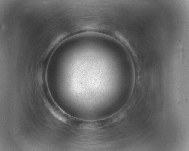 X0000083000106200702011505
