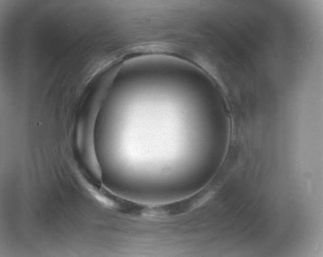 X0000083000109200702011505