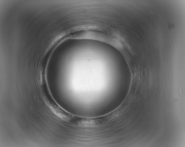 X0000083000110200702011505