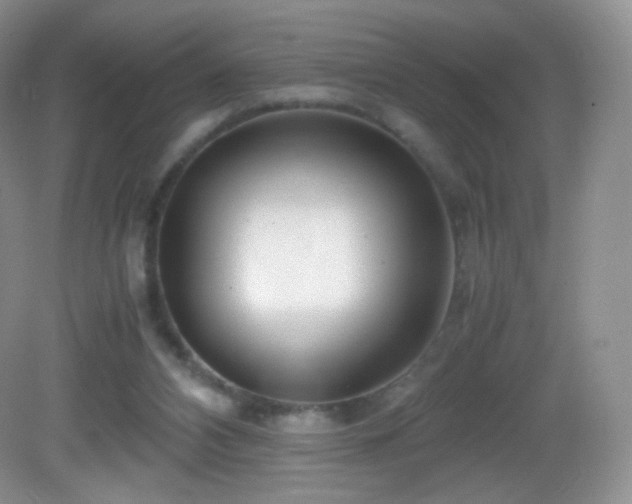 X0000083000112200702011505