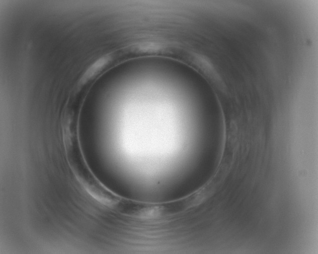 X0000083000116200702011505