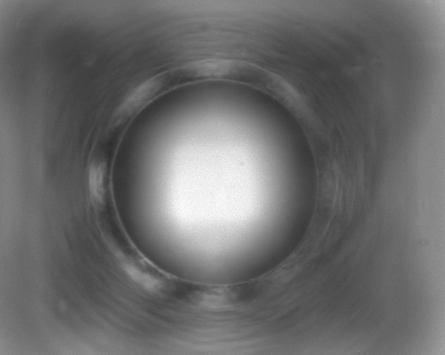 X0000083000118200702011505