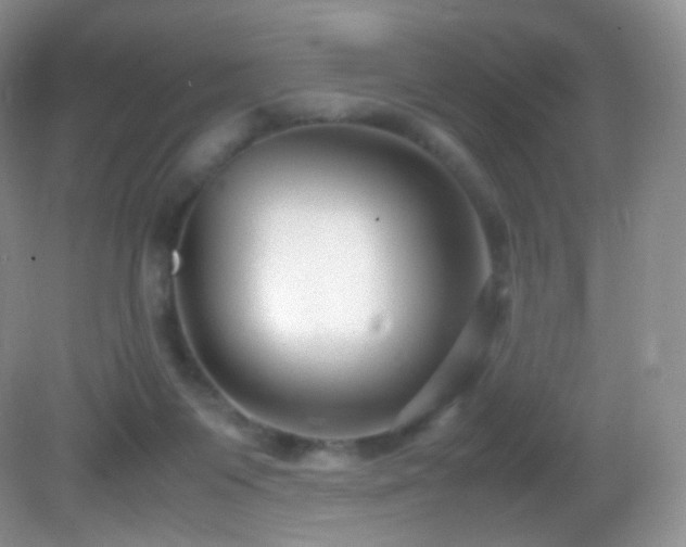 X0000083000119200702011505