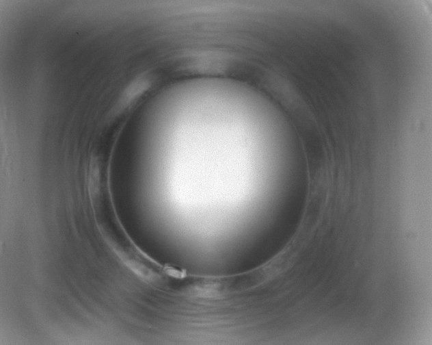 X0000083000120200702011505