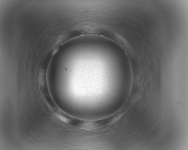 X0000083000121200702011505