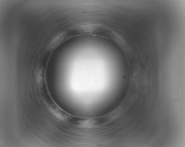 X0000083000122200702011505