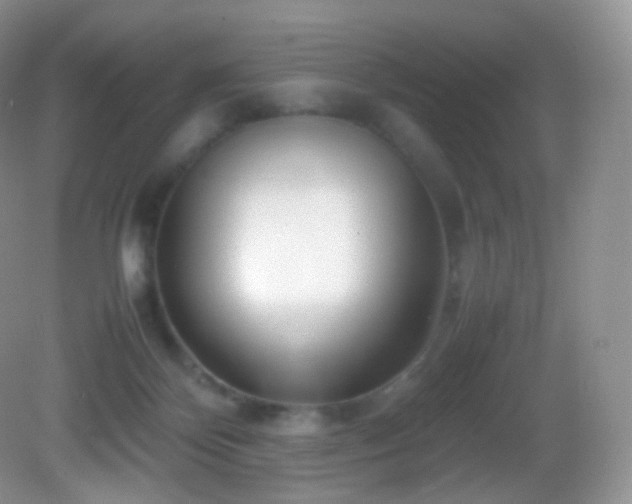 X0000083000124200702011505