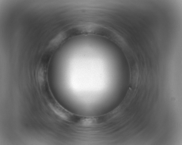 X0000083000126200702011505