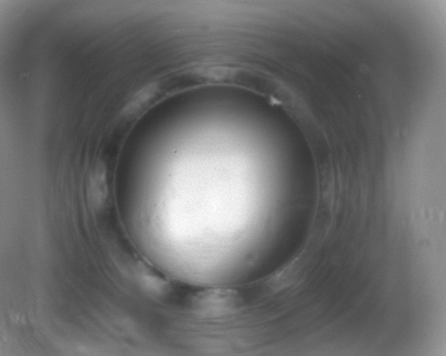 X0000083000128200702011505