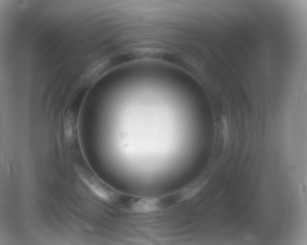 X0000083000138200702011504