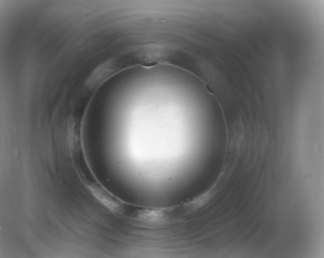 X0000083000140200702011504