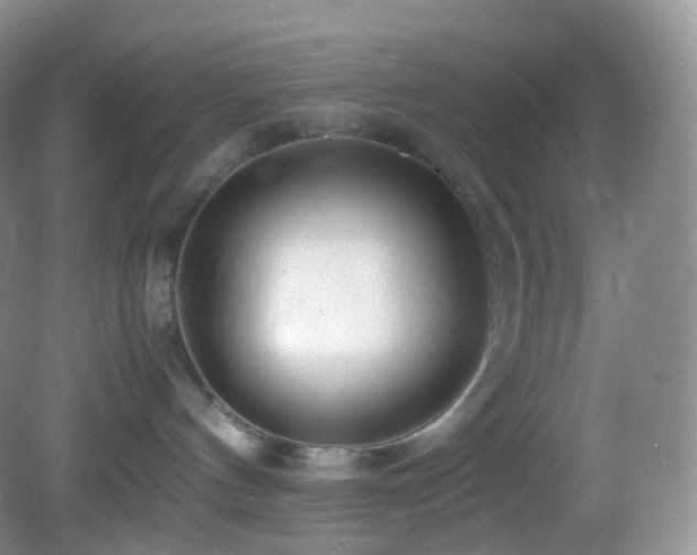 X0000083000144200702011504