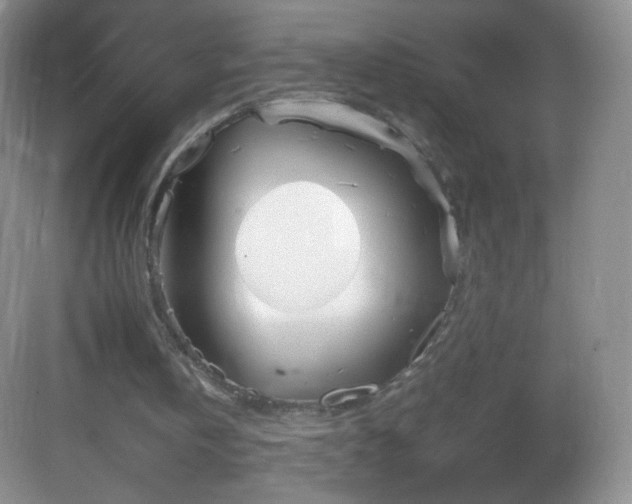 X0000083000146200702011504