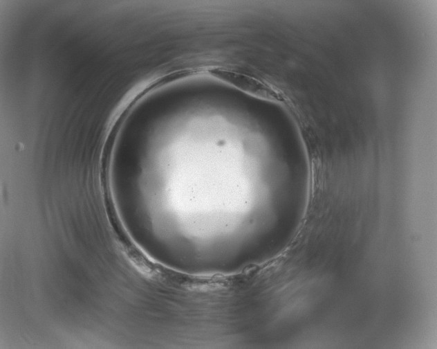 X0000083000147200702011504