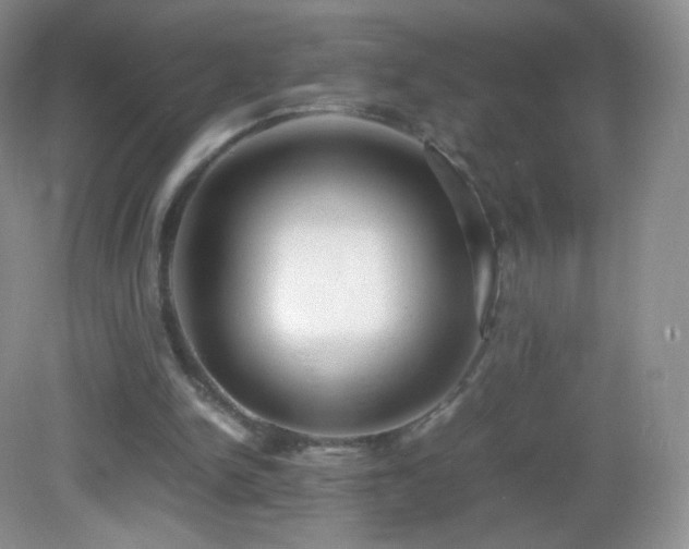 X0000083000150200702011504