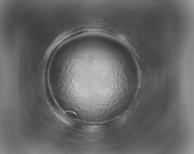 X0000083000151200702011504
