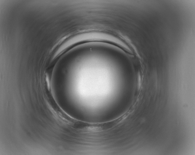X0000083000154200702011504