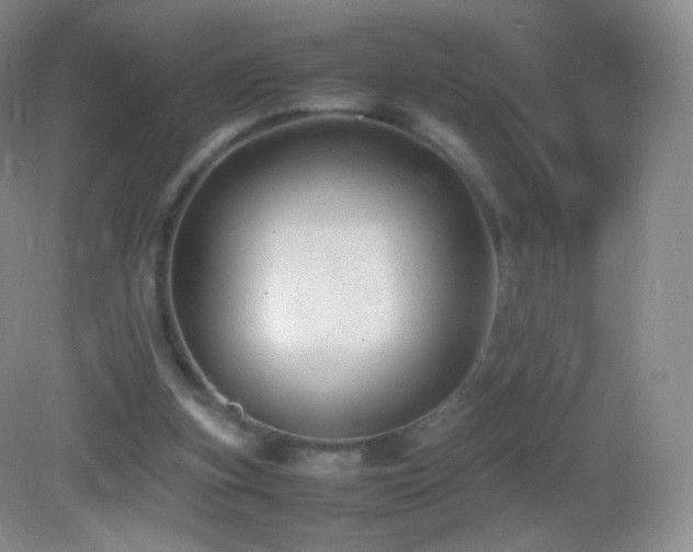 X0000083000155200702011504